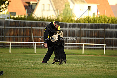 Yustav Wilhelm vom Gleisdreieck 