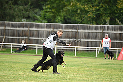 Yustav Wilhelm vom Gleisdreieck 