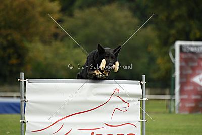 Yustav Wilhelm vom Gleisdreieck 