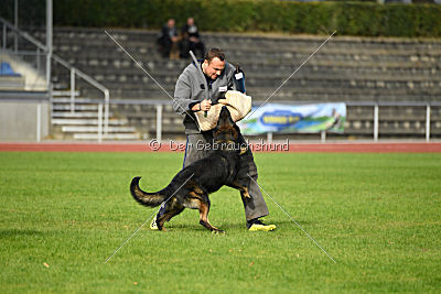 Yustav Wilhelm vom Gleisdreieck