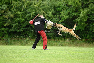 Zack vom Further Moor