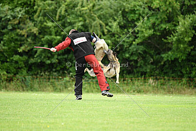 Zack vom Further Moor