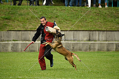 Zack vom Further Moor