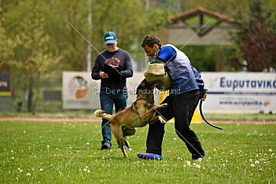 Zack vom Further Moor