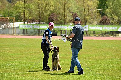 Zack vom Further Moor