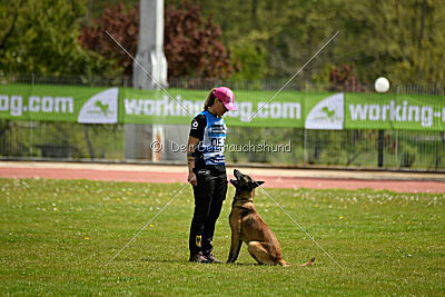 Zack vom Further Moor