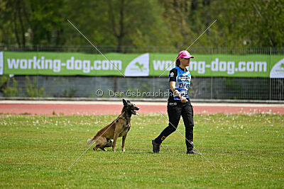 Zack vom Further Moor