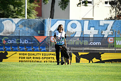 Zaphira Zombie Alary Aslar