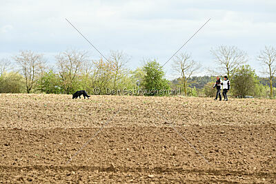Zara van den Ronden Hoek