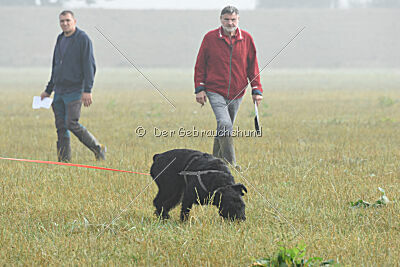 Zara vom Goldbergsee