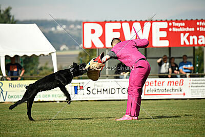 Zara vom Goldbergsee