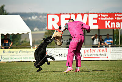 Zara vom Goldbergsee