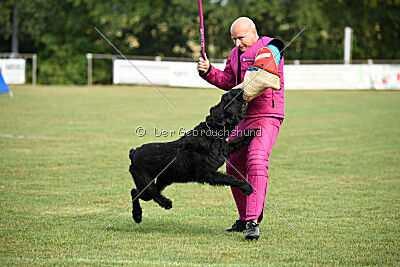 Zara vom Goldbergsee