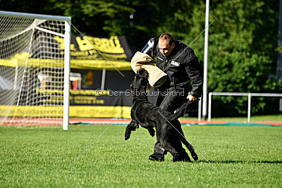 Zareg vom Hatzbachtal