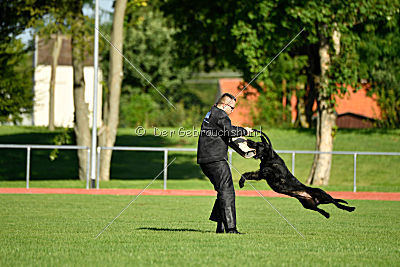Zareg vom Hatzbachtal