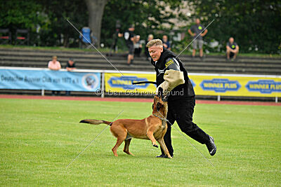 Zauberlehrling von der Steinteichmühle