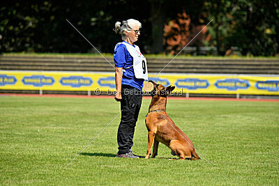 Zauberlehrling von der Steinteichmühle