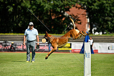 Zauberlehrling von der Steinteichmühle