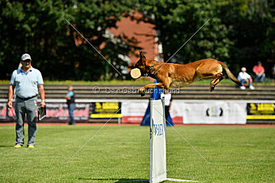 Zauberlehrling von der Steinteichmühle