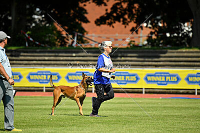Zauberlehrling von der Steinteichmühle