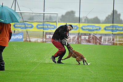 Zaya Zuckerrübe von der Steinteichmühle