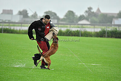 Zaya Zuckerrübe von der Steinteichmühle