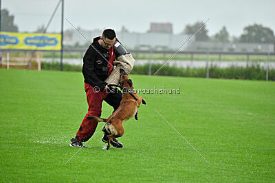 Zaya Zuckerrübe von der Steinteichmühle