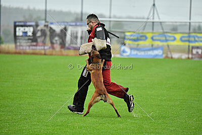 Zaya Zuckerrübe von der Steinteichmühle