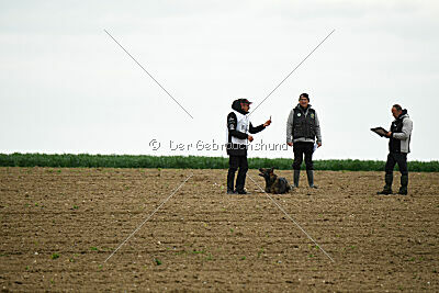 Zazoe van Kleyn Hammer