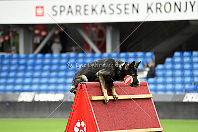 Zemelya iz Vorta Wernogo