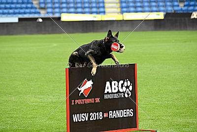 Zemelya iz Vorta Wernogo