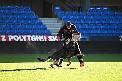 Zemelya iz Vorta Wernogo