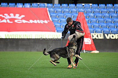 Zeus vom Schloss Solitude