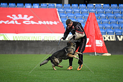 Zeus vom Schloss Solitude