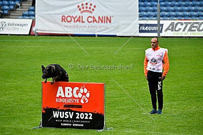 Zigo van de Zeelberg