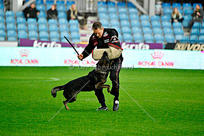 Zigo van de Zeelberg