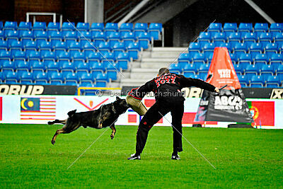 Zigo van de Zeelberg