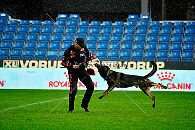 Zigo van de Zeelberg