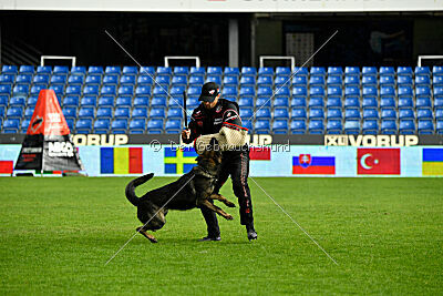 Zigo van de Zeelberg