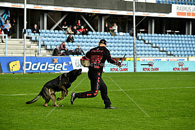 Zigo van de Zeelberg