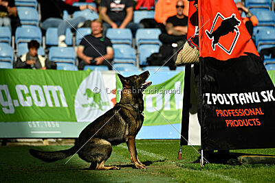 Zigo van de Zeelberg