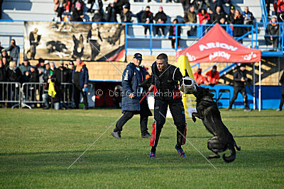 Zigo van de Zeelberg