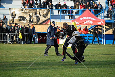 Zigo van de Zeelberg