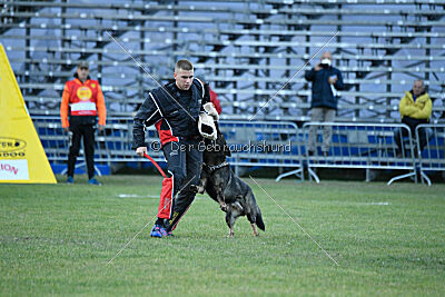 Zigo van de Zeelberg