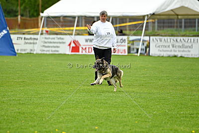 Zimtschnecke Arabrab