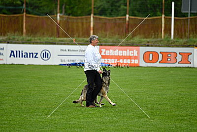 Zimtschnecke Arabrab