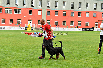 Zorra vom Steintor Rott