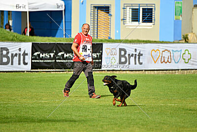 Zorra vom Steintor Rott
