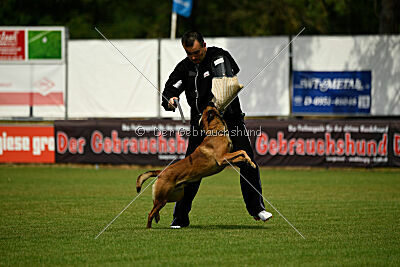 ne pas toucher Aaron