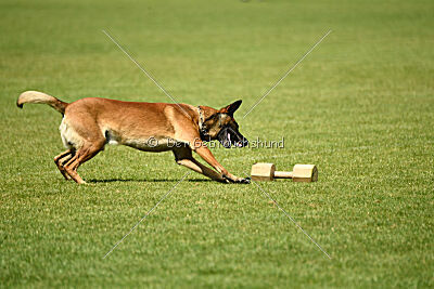 ne pas toucher Aaron